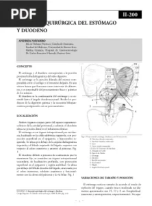Anatomía quirúrgica del estómago y duodeno por Andrea Navarro