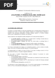 Anatomía y fisiología del esófago por Ortiz Gil EM, Granado Corzo SC, Mesa Marrero M.