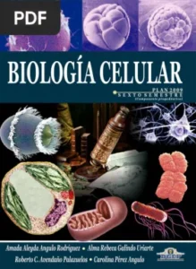 Biologia Celular por Amada Aleyda Angulo Rodríguez, Alma Rebeca Galindo Uriarte