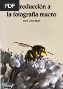 Introduccion a la Fotografía Macro por Juan Cesar Jover