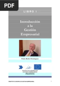 Introducción a la Gestión Empresarial por Pedro Rubio Domínguez