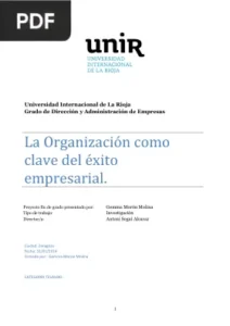 La organización como clave del éxito empresarial por Germán Moron Molina