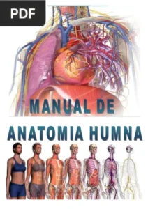 Manual de Anatomía Humana por Prof. Edwin Saldaña Ambulódegui
