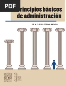 Principios básicos de administración por Jesús Bernal Magaña