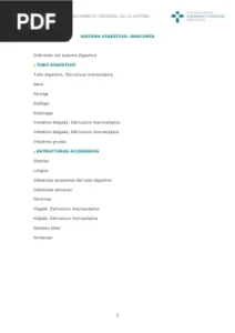 Sistema digestivo: Anatomía por Julia Reiriz Palacios