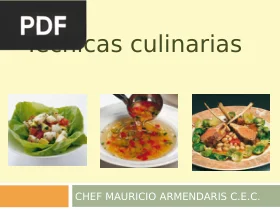 Técnicas culinarias (Presentación) por Mauricio Armendaris